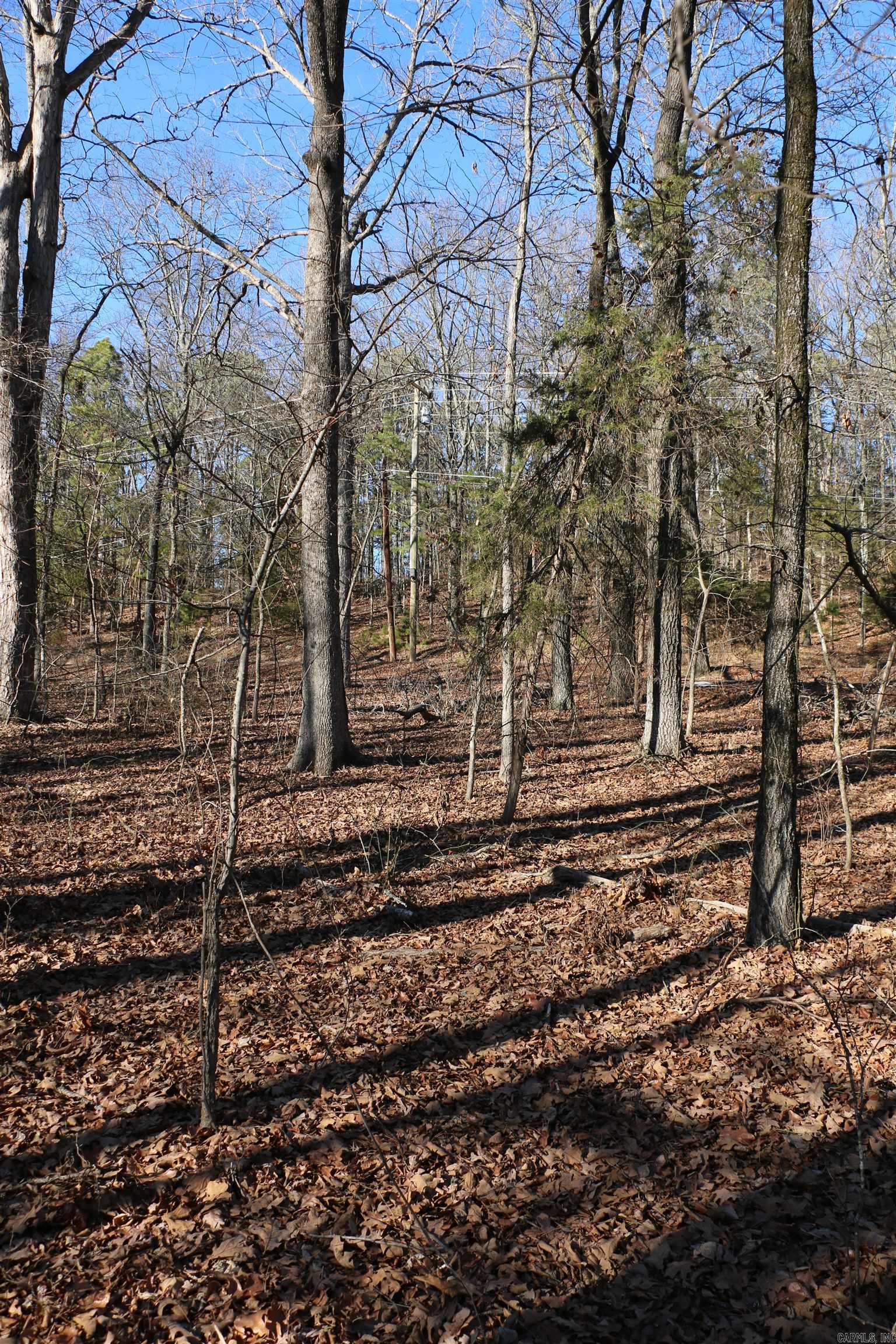 Lot 152 Woodlawn Drive