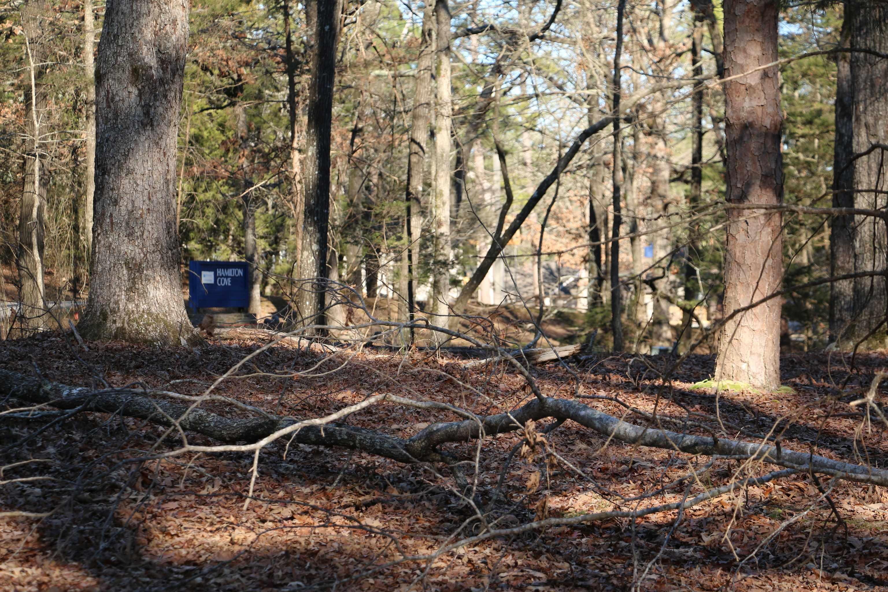 Lot 92 Dave Creek Parkway