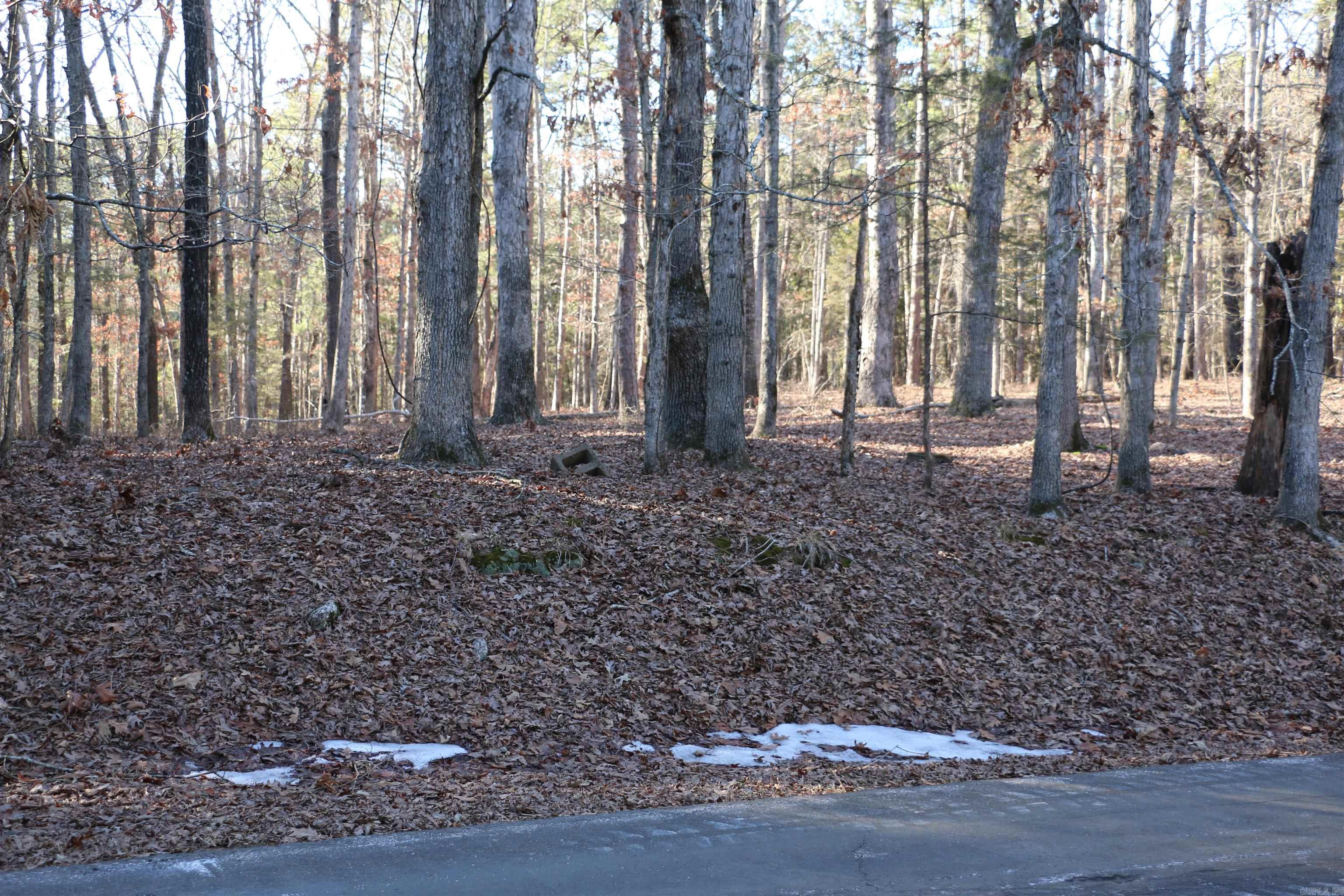 Lot 92 Dave Creek Parkway