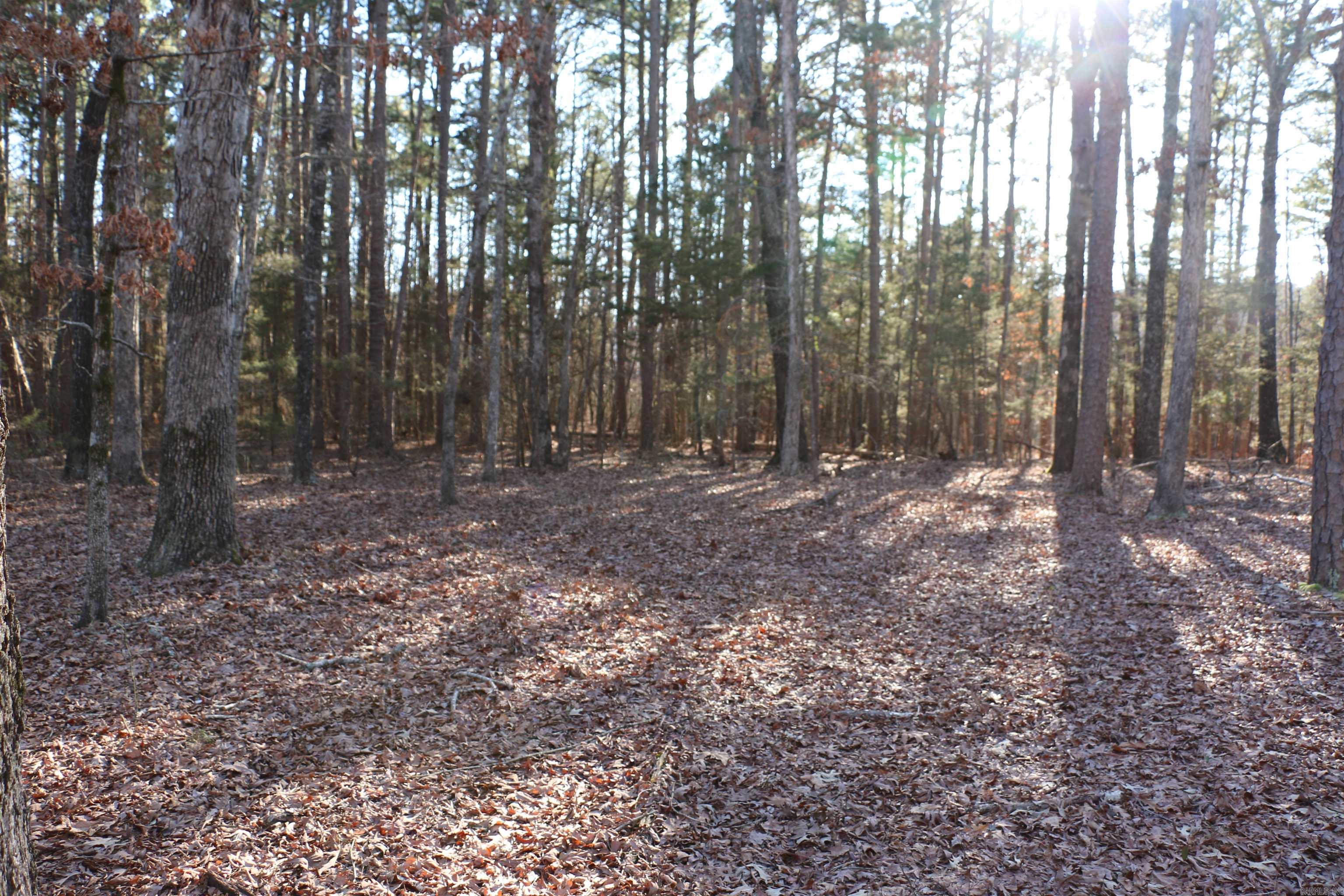 Lot 92 Dave Creek Parkway