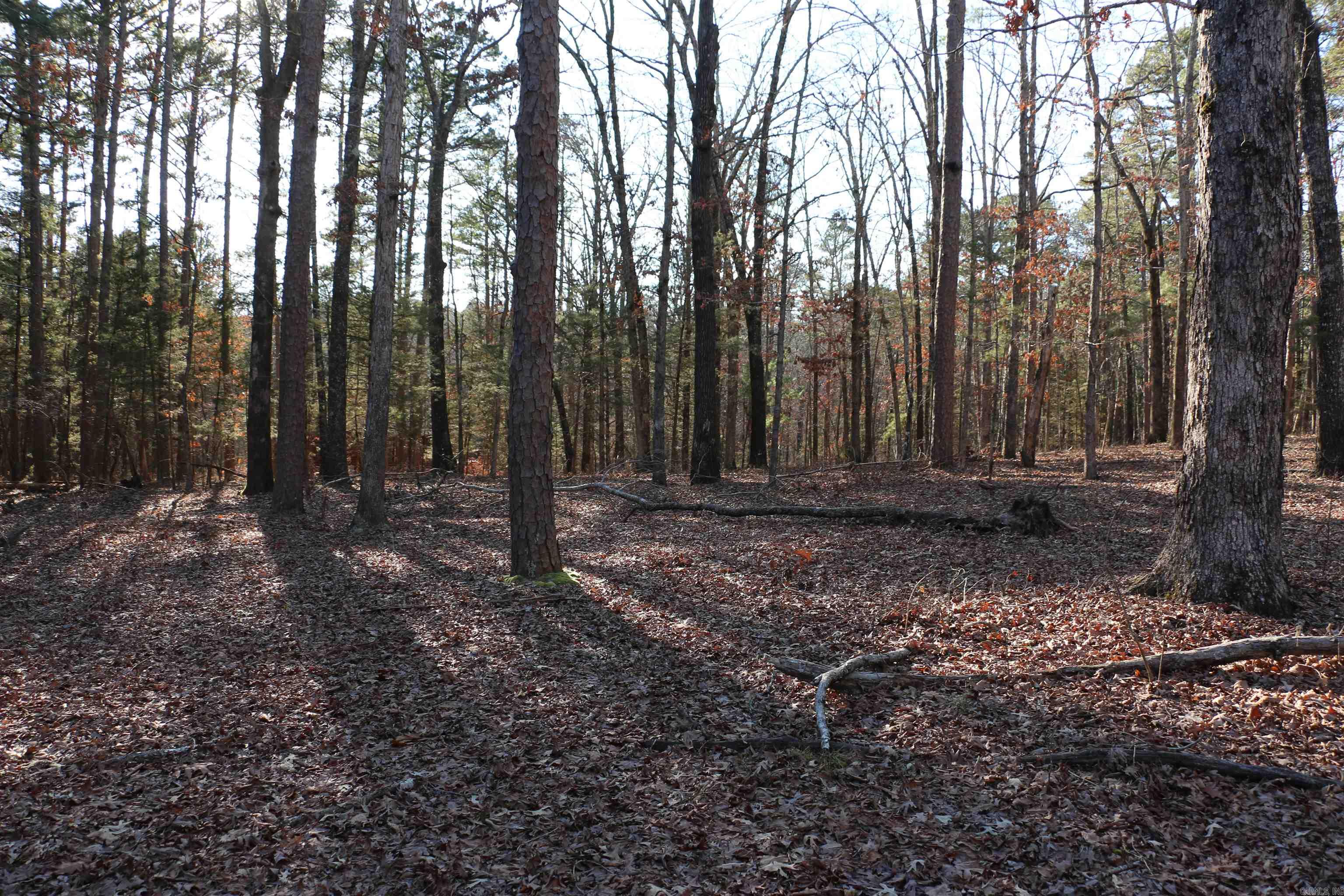 Lot 92 Dave Creek Parkway