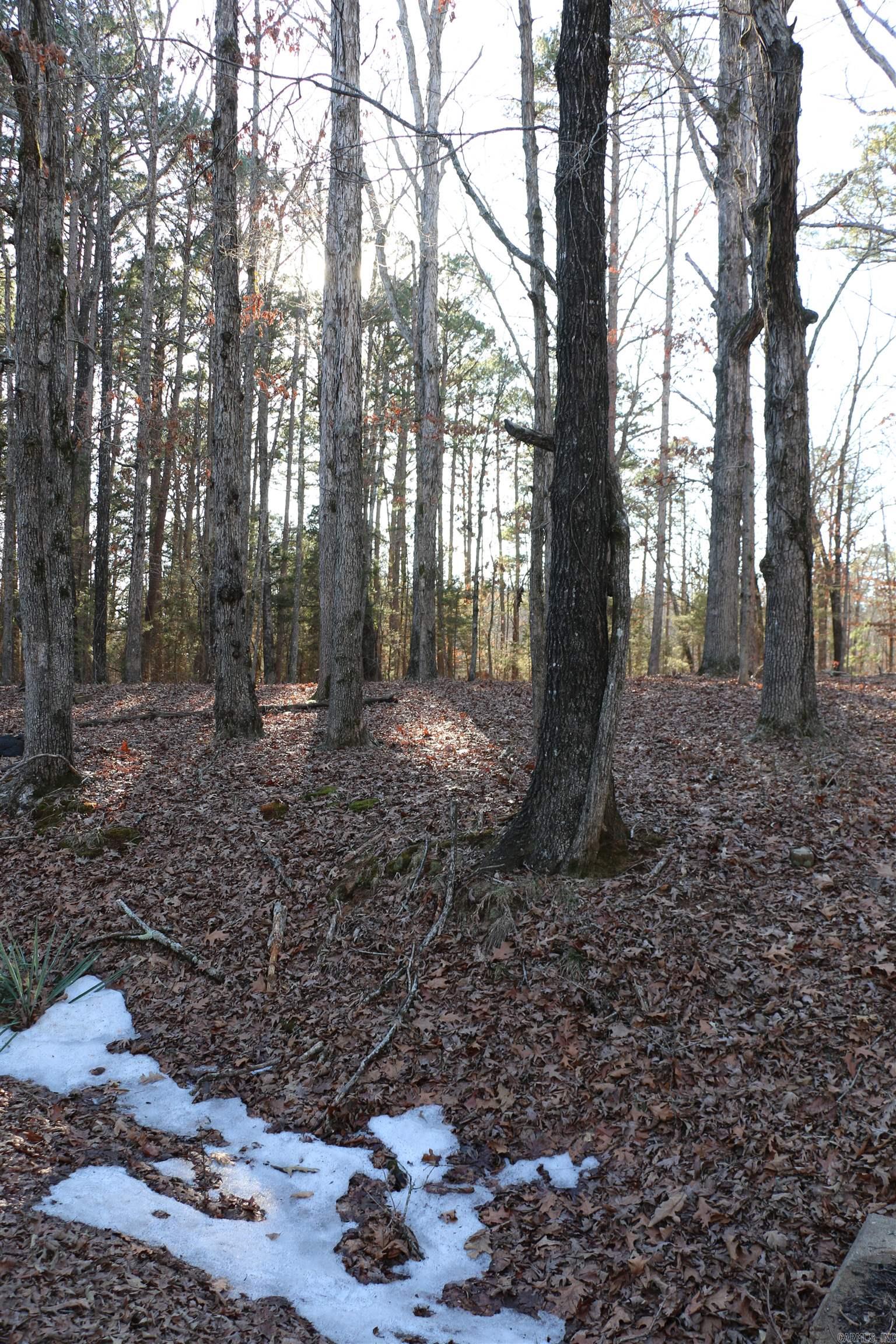 Lot 92 Dave Creek Parkway