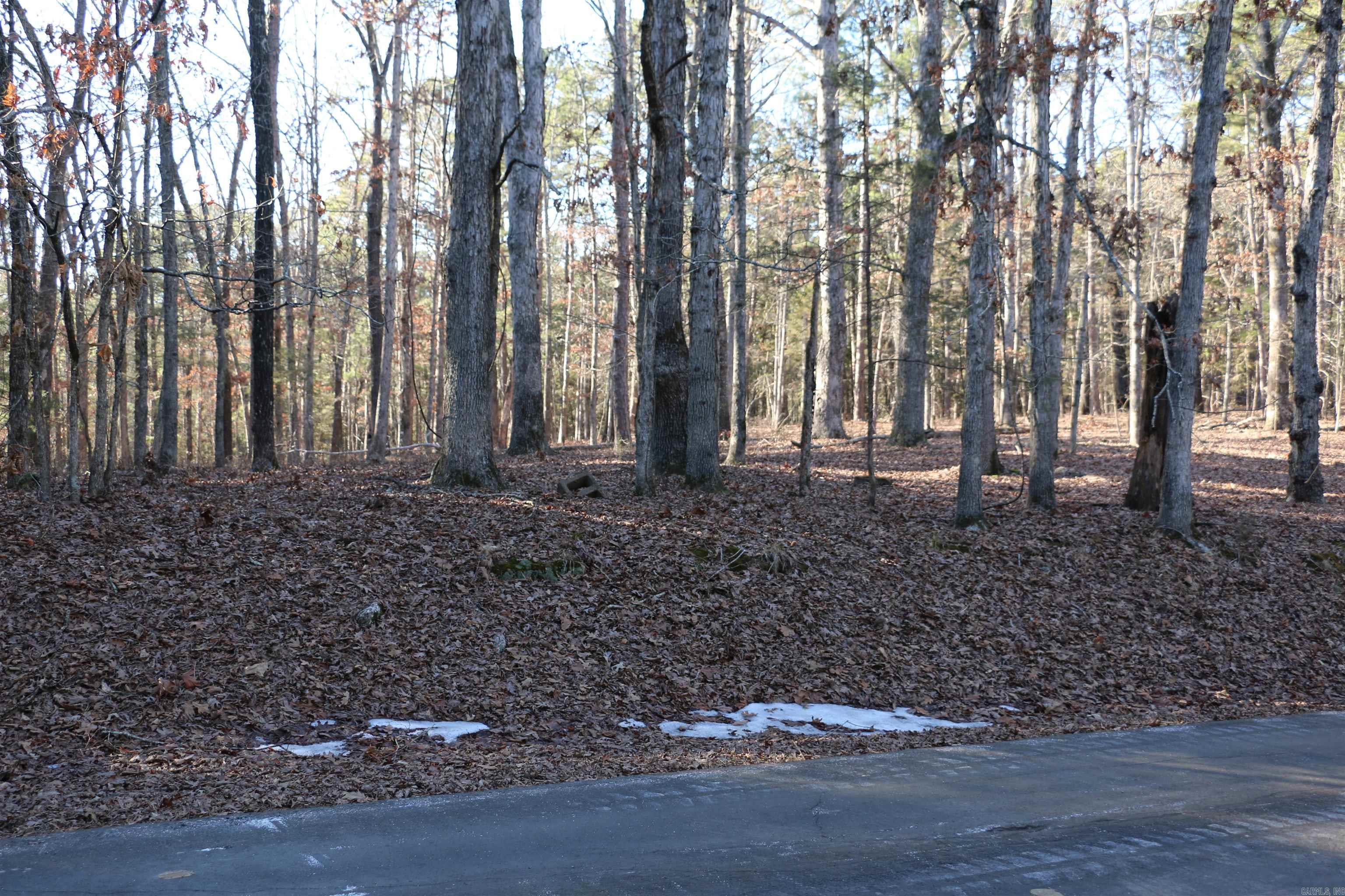 Lot 92 Dave Creek Parkway