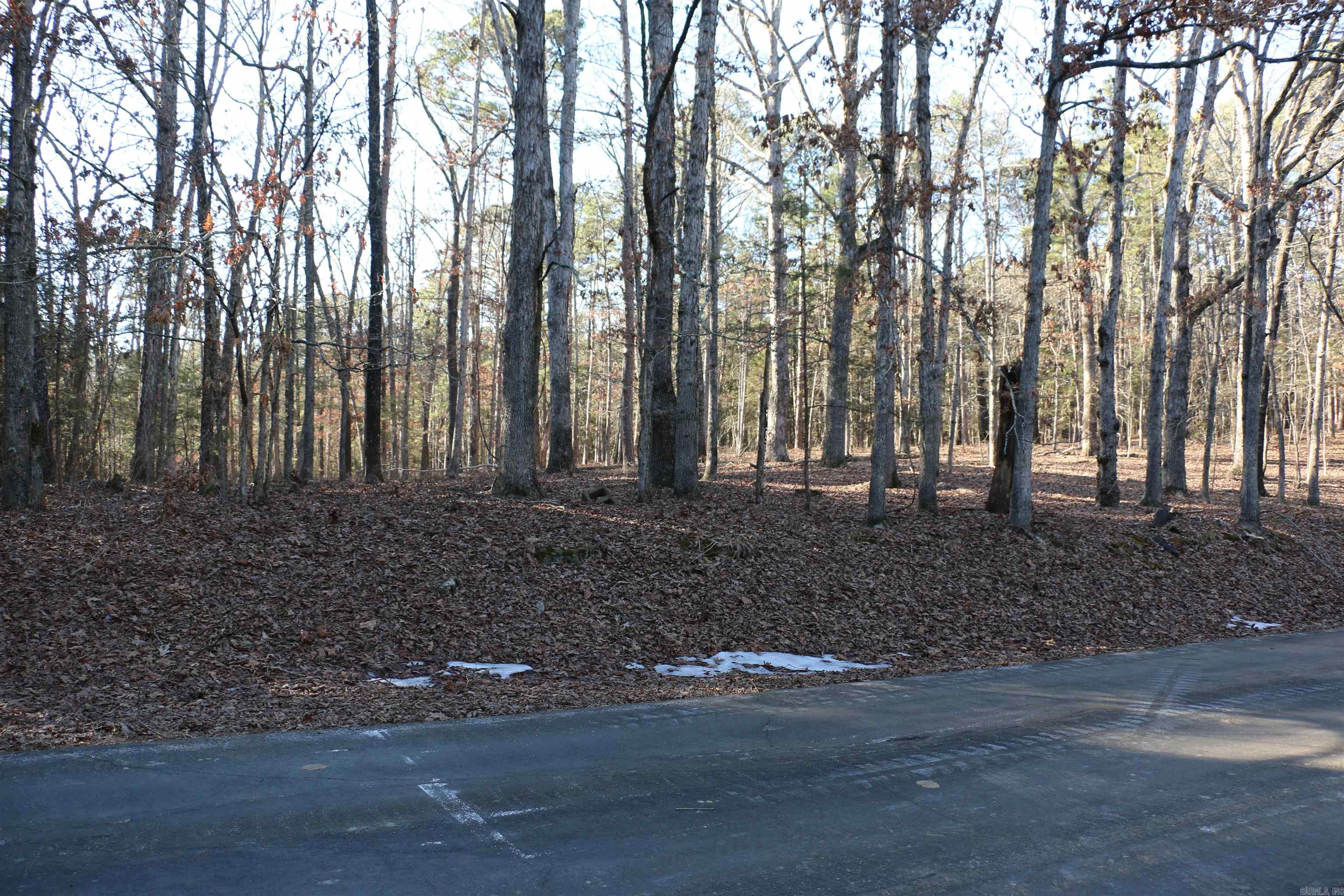 Lot 92 Dave Creek Parkway