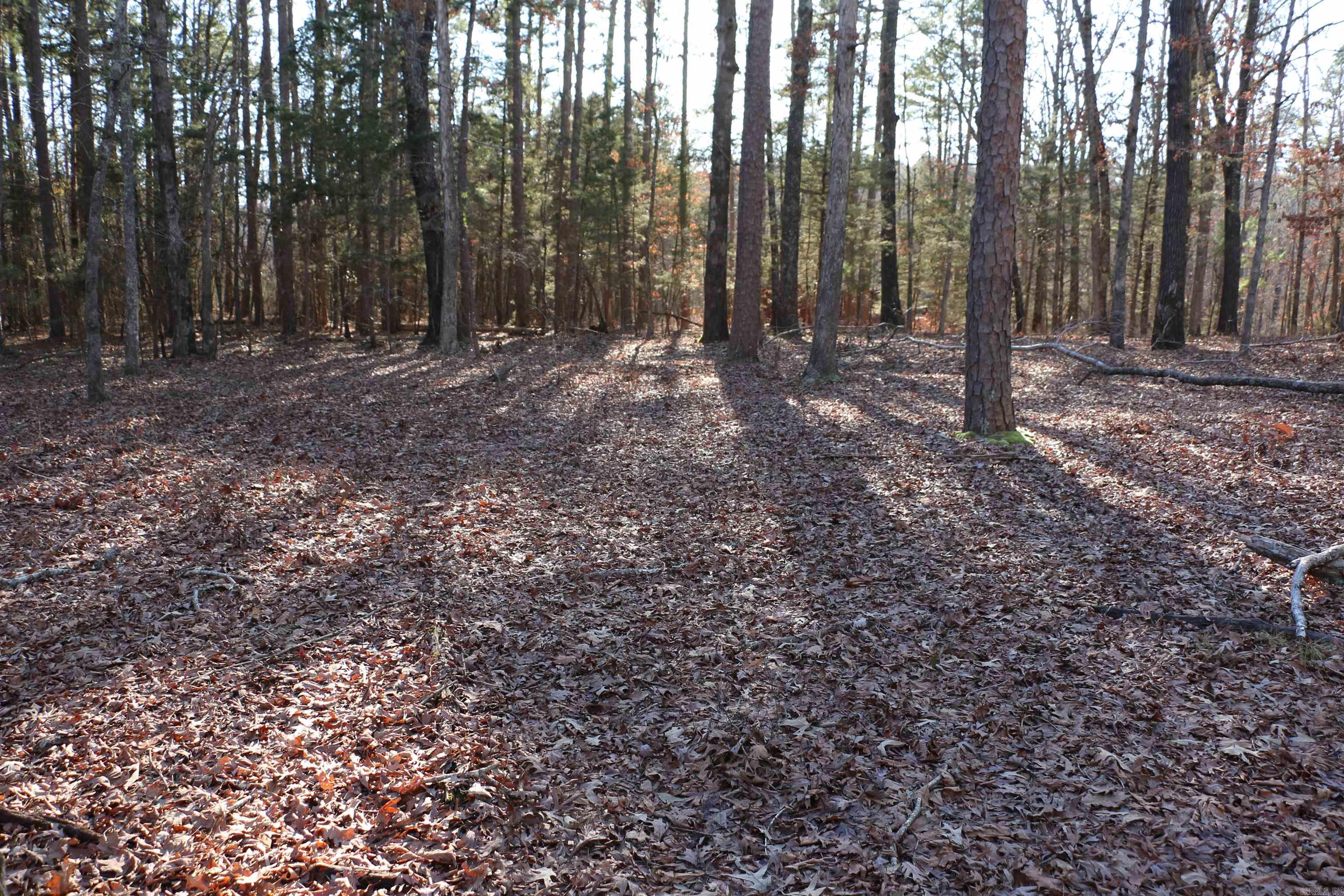 Lot 92 Dave Creek Parkway