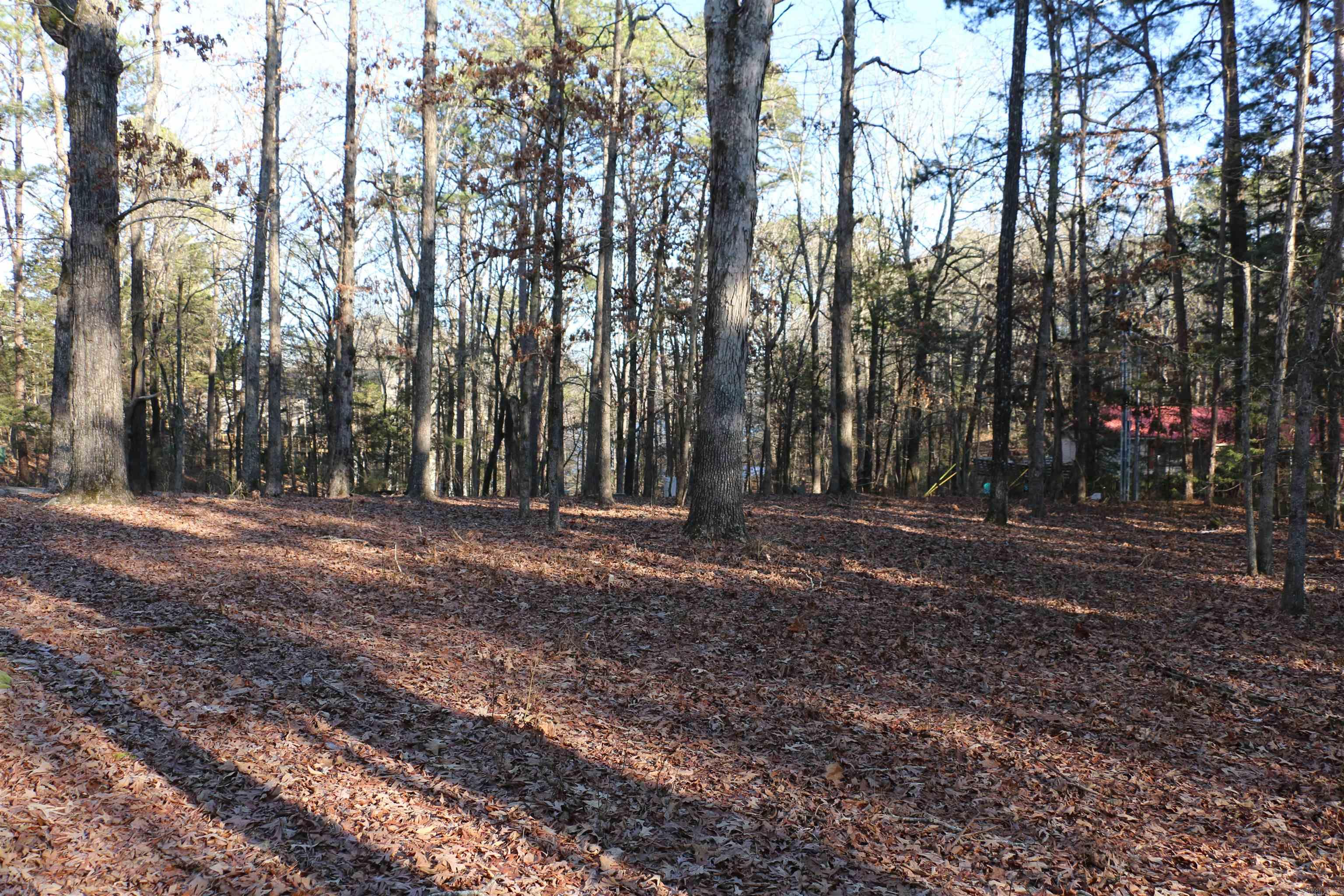 Lot 92 Dave Creek Parkway