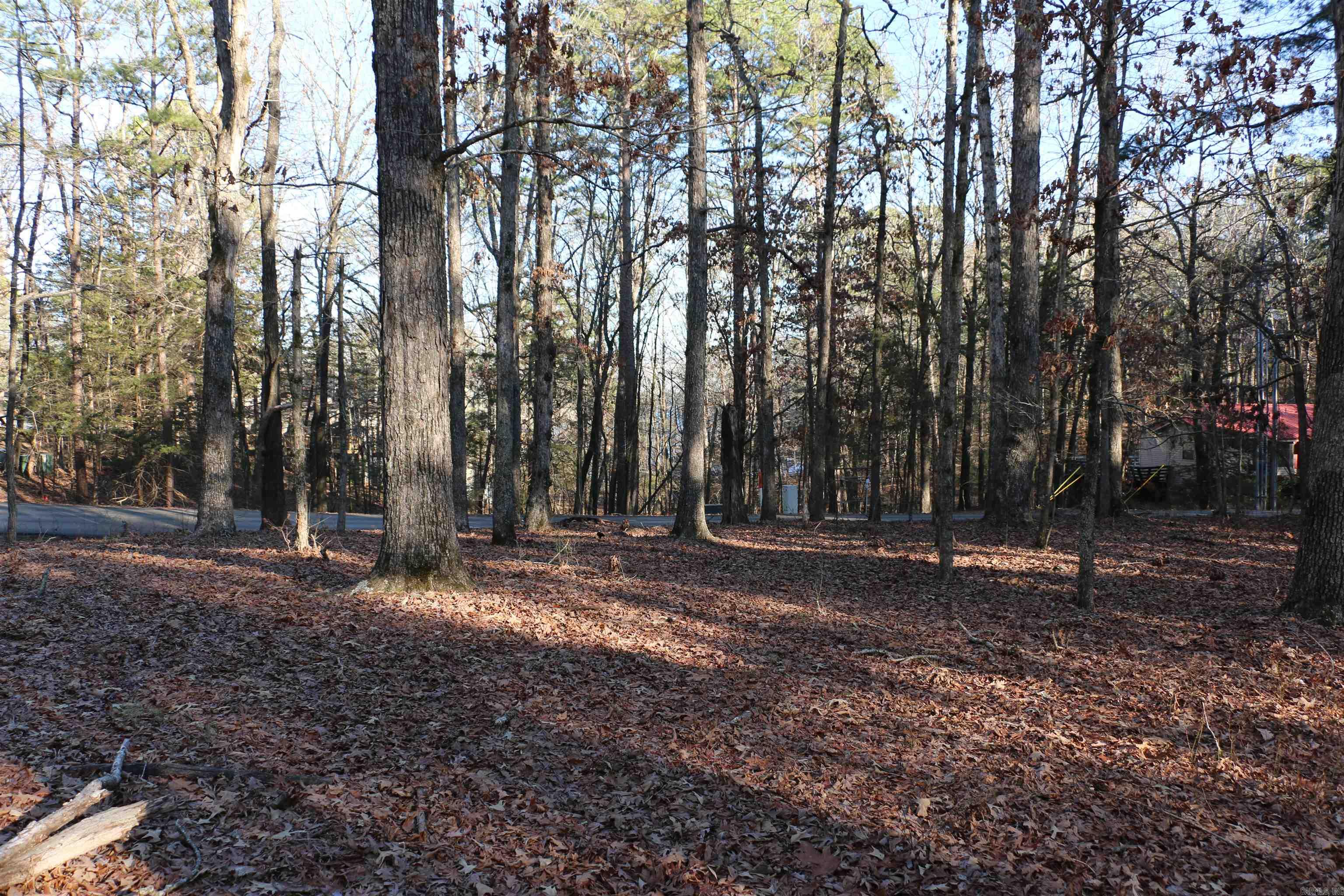 Lot 92 Dave Creek Parkway