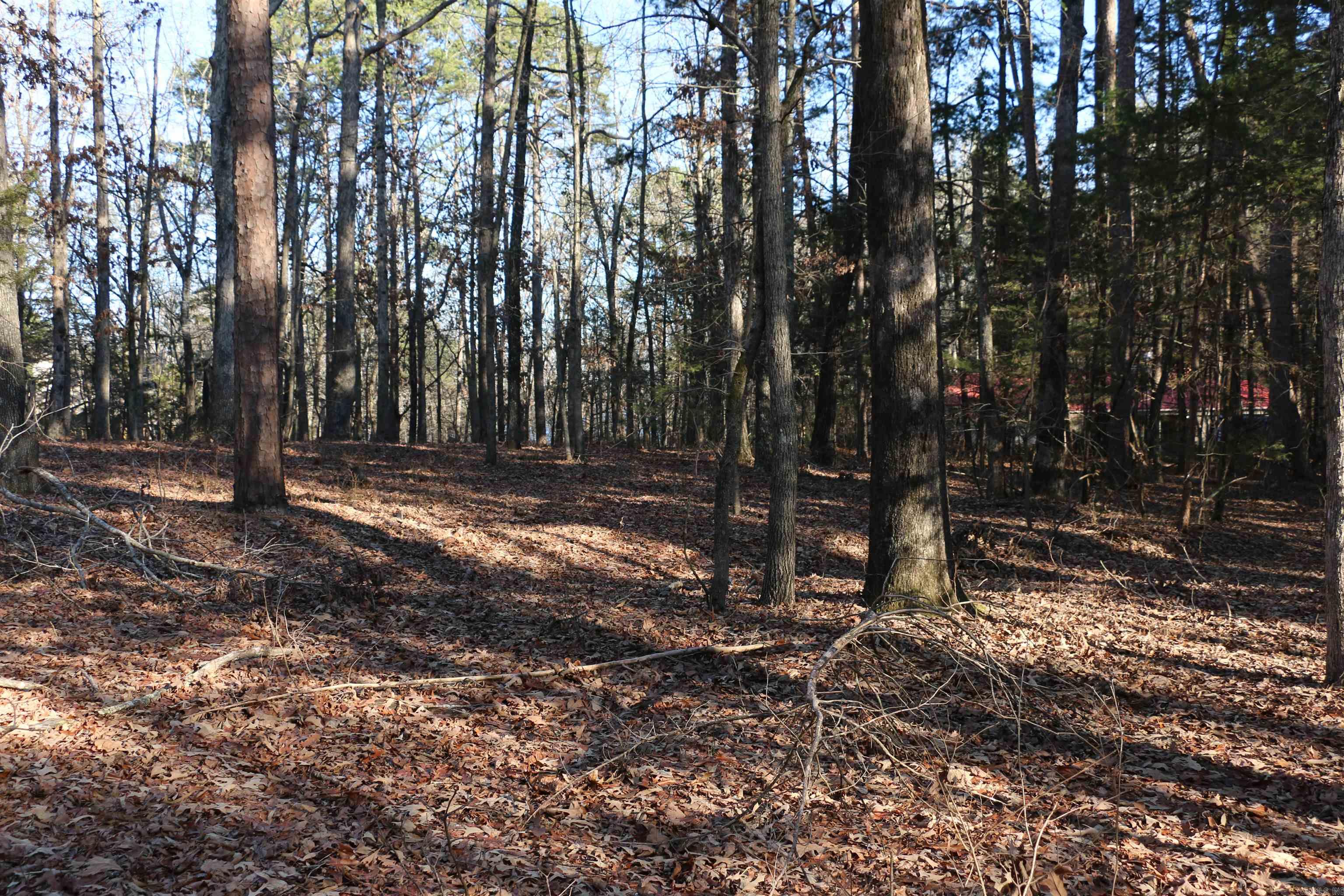 Lot 92 Dave Creek Parkway