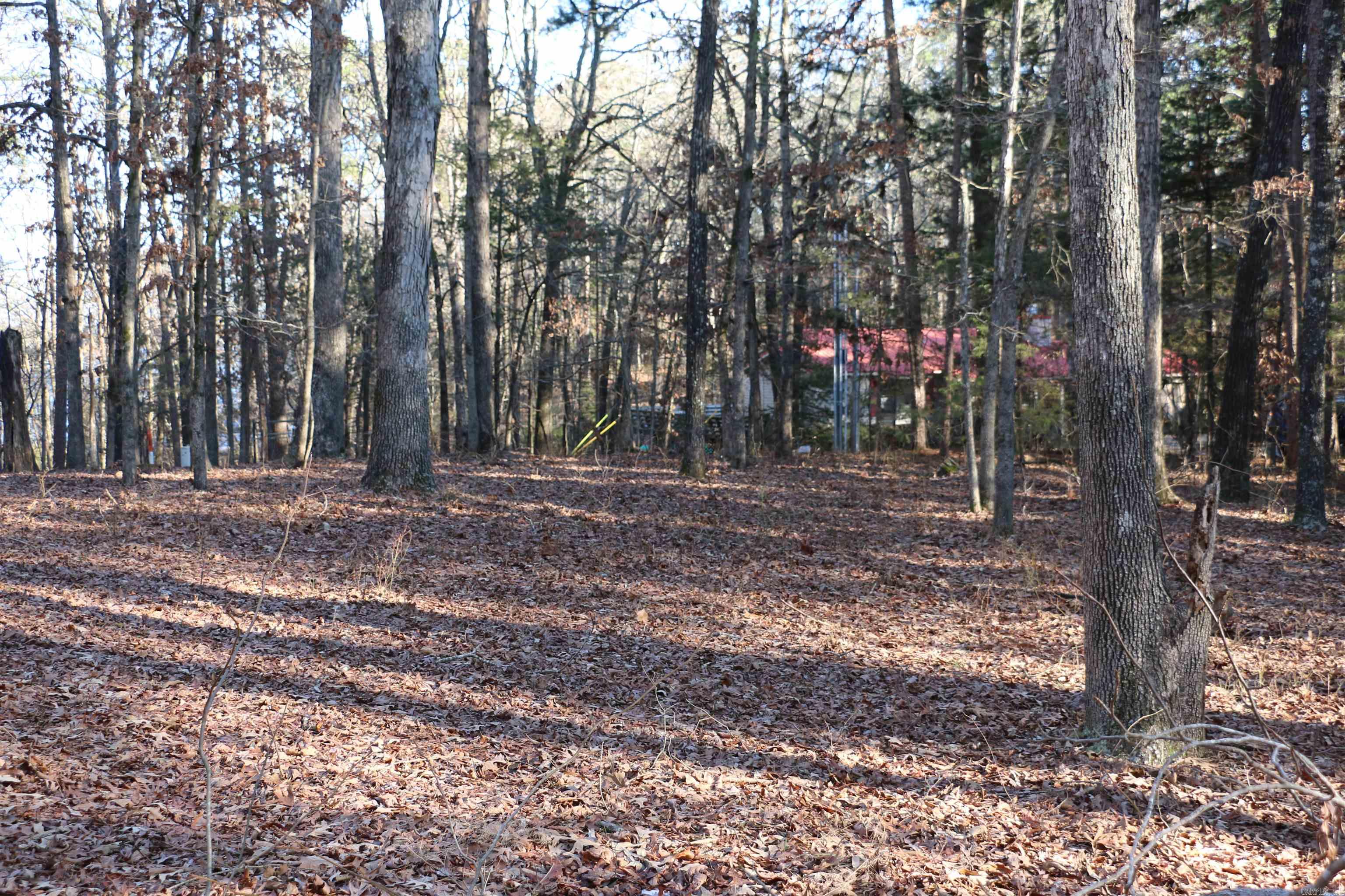 Lot 92 Dave Creek Parkway