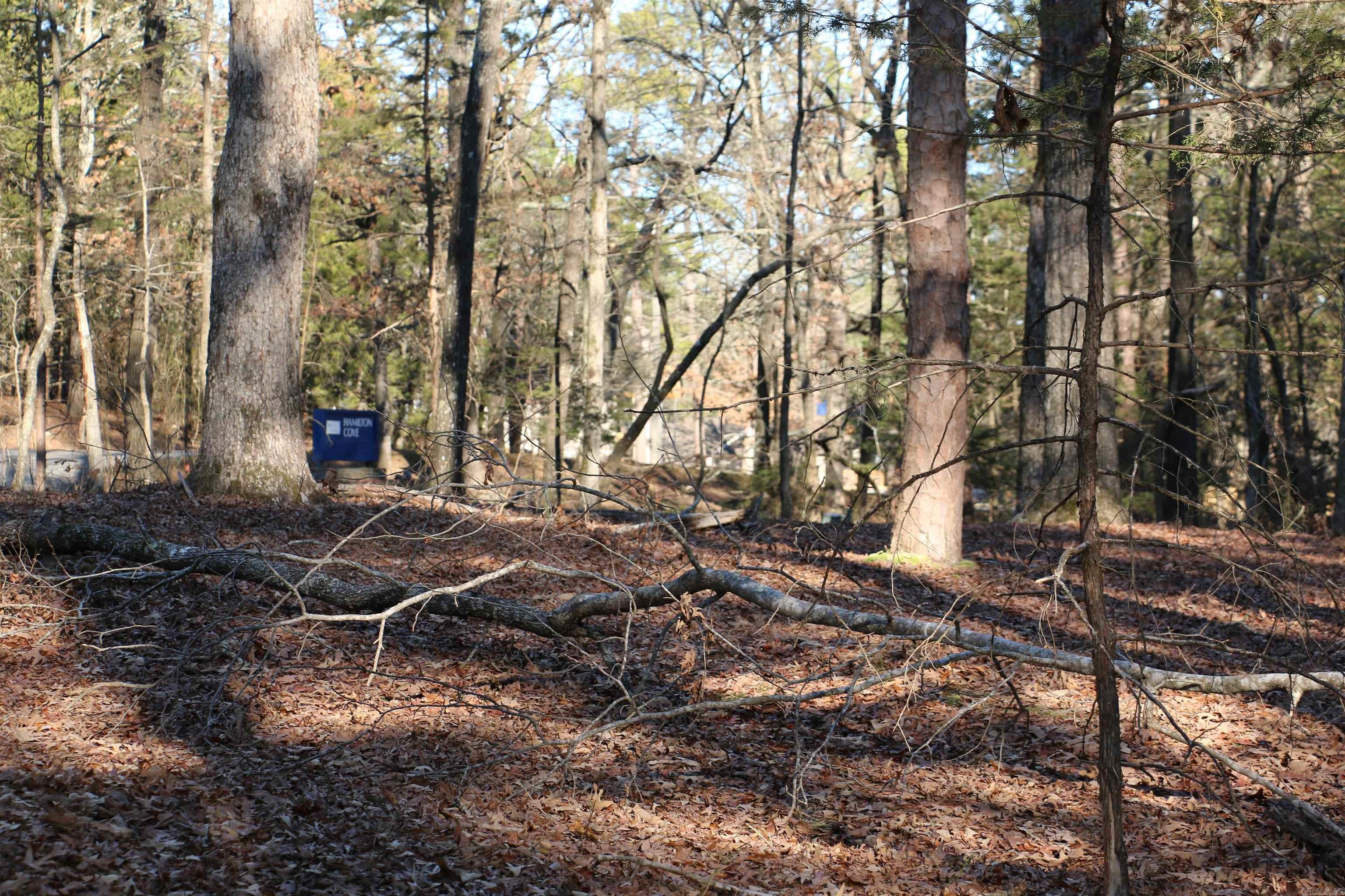 Lot 92 Dave Creek Parkway