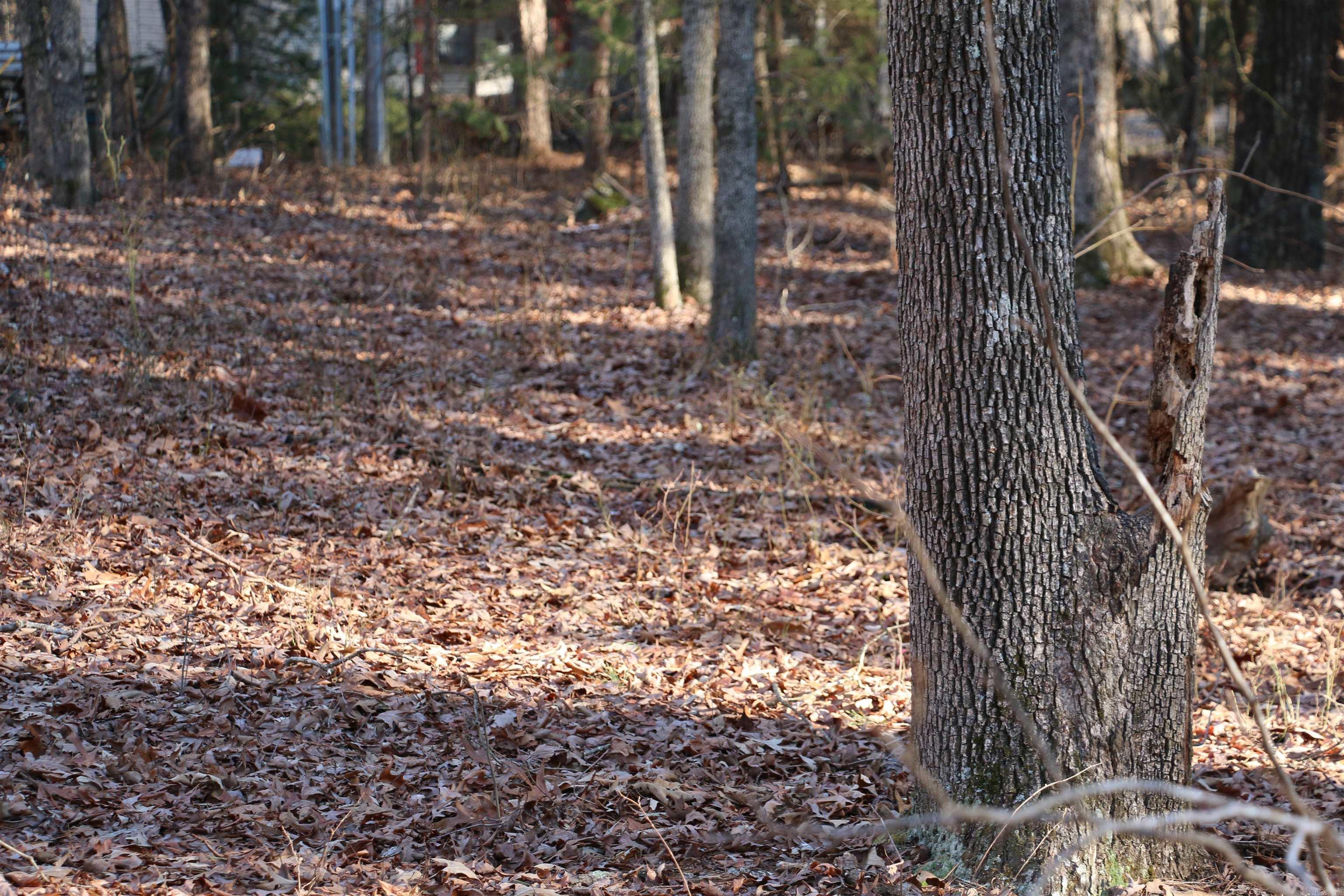 Lot 92 Dave Creek Parkway