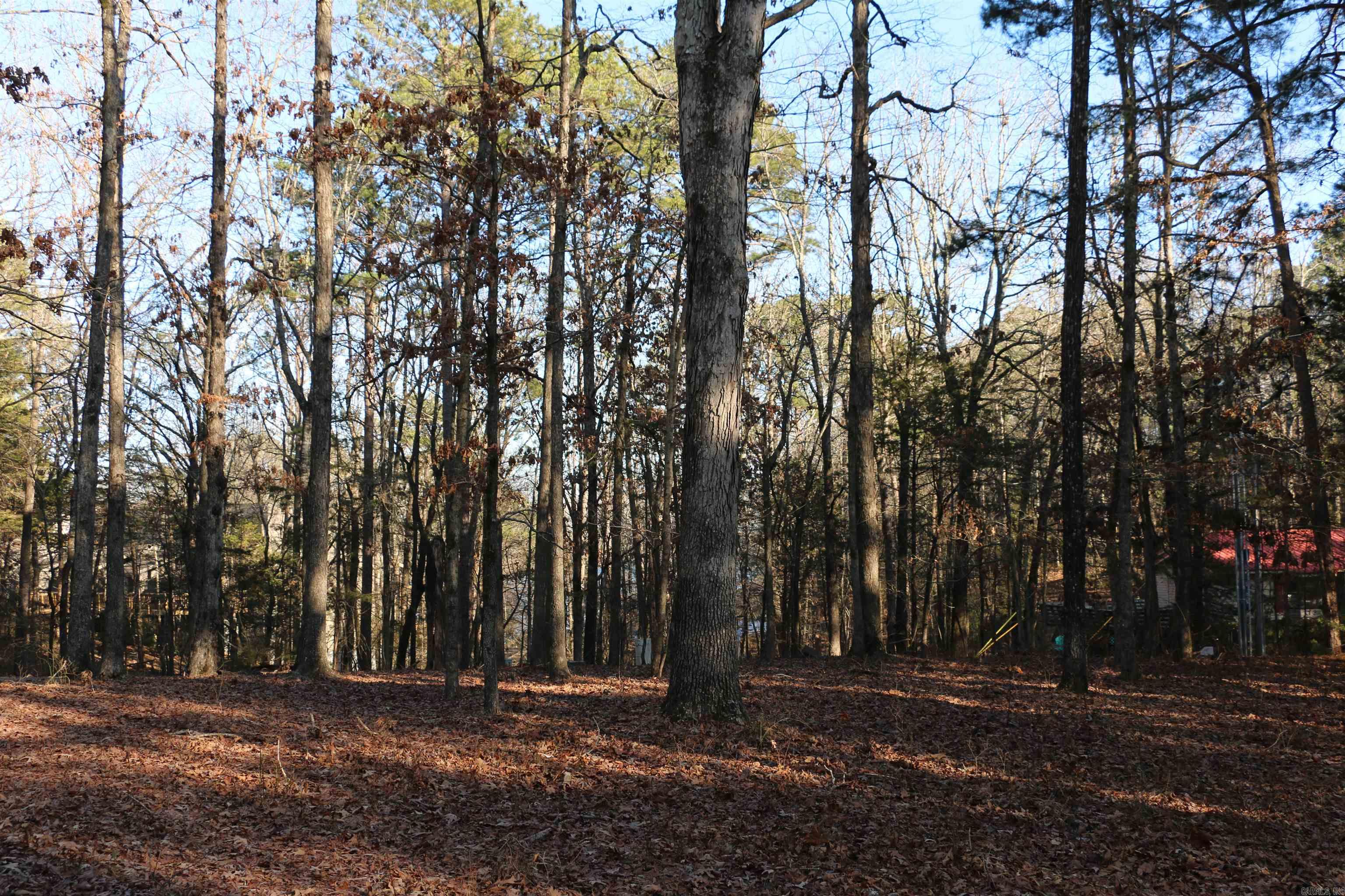 Lot 92 Dave Creek Parkway