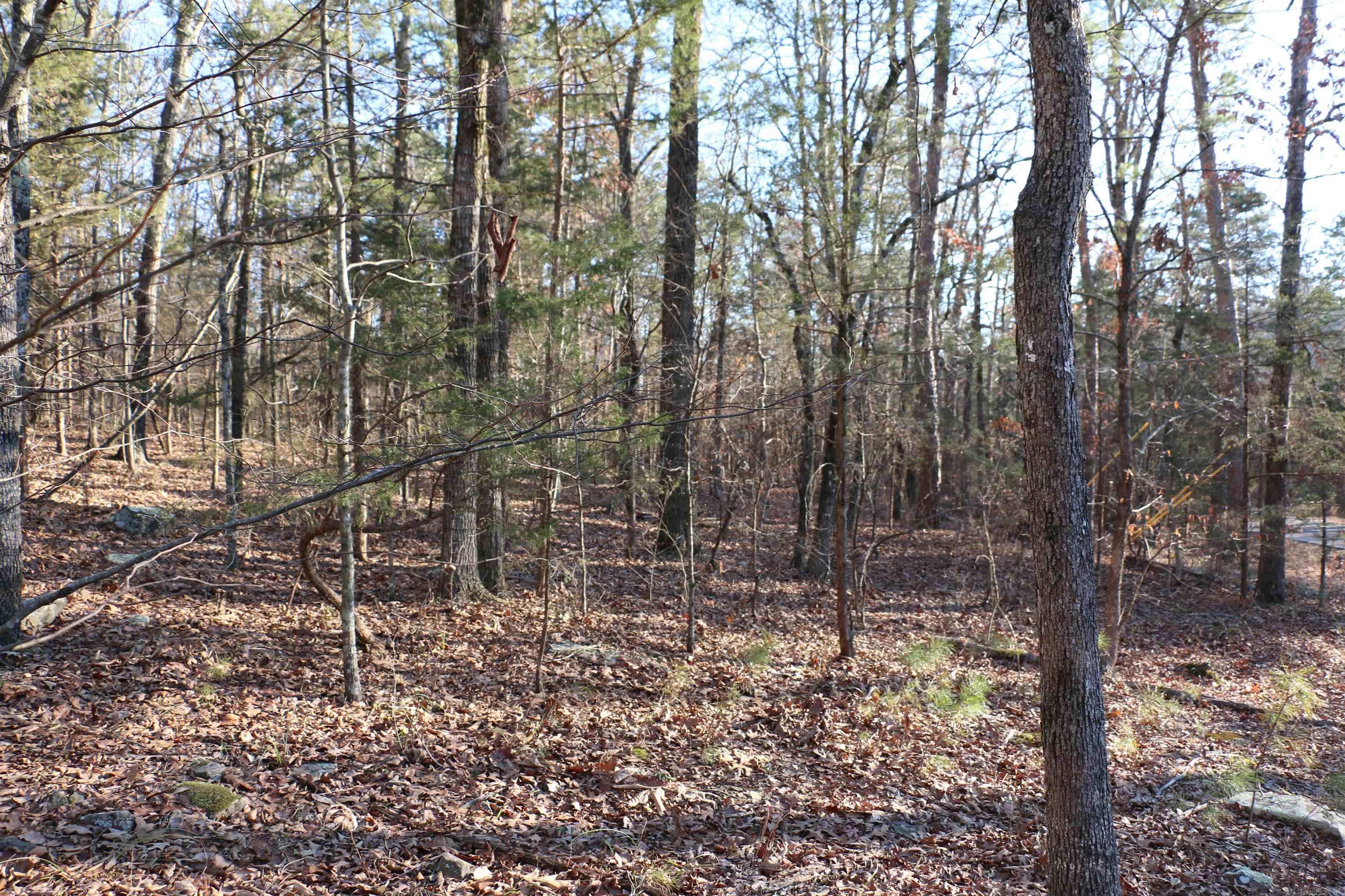 Lot 86 Lynn Creek Drive