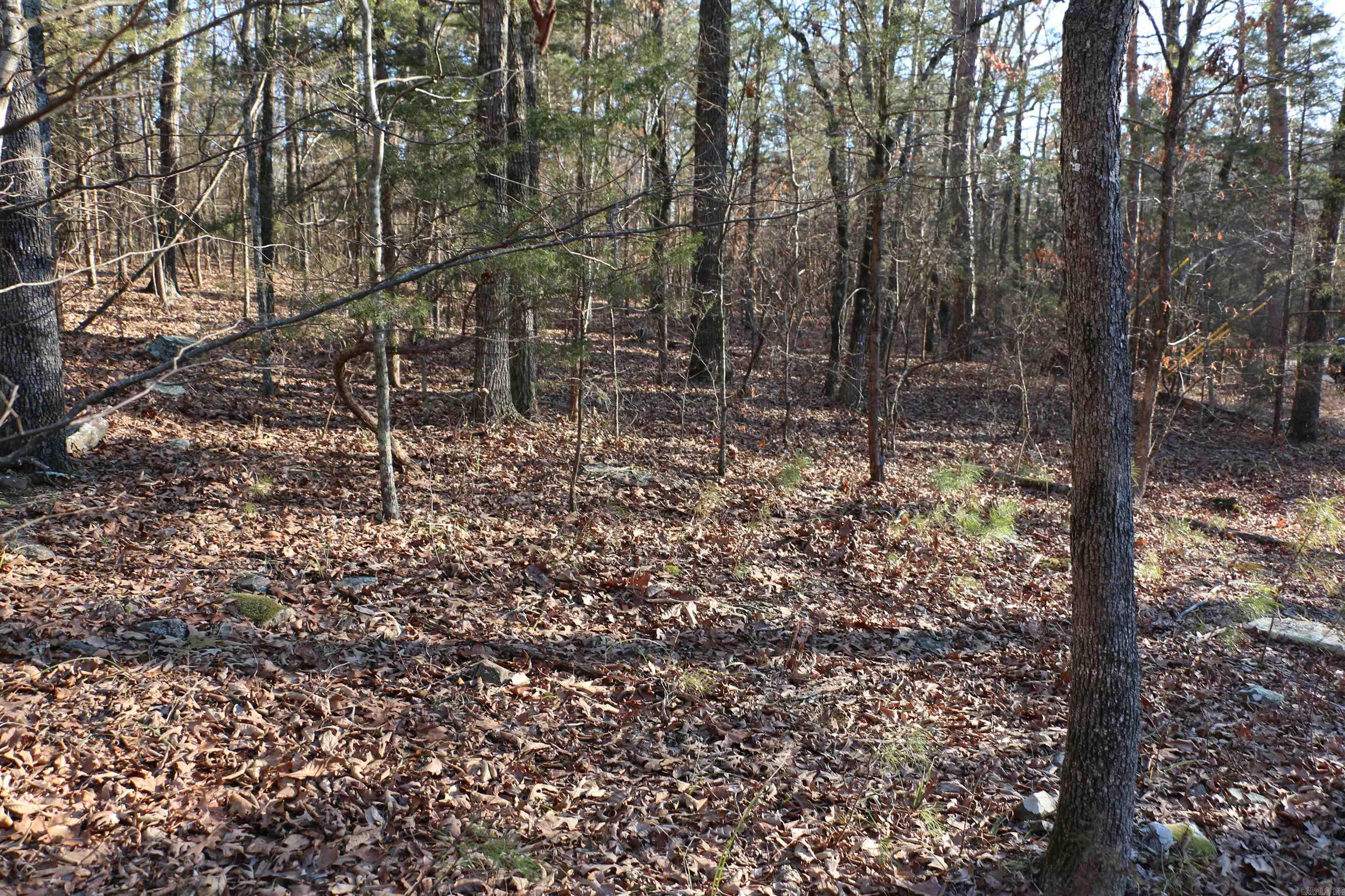 Lot 86 Lynn Creek Drive