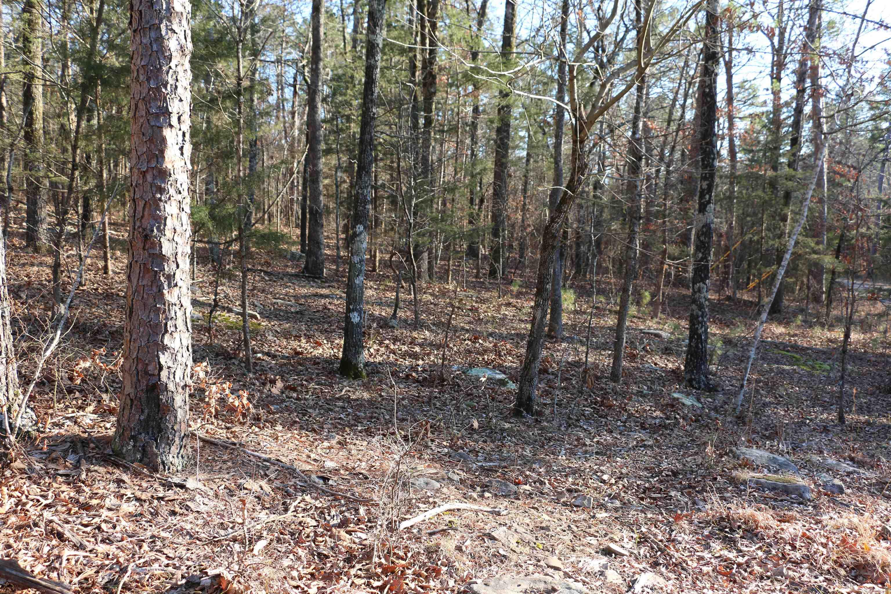 Lot 86 Lynn Creek Drive