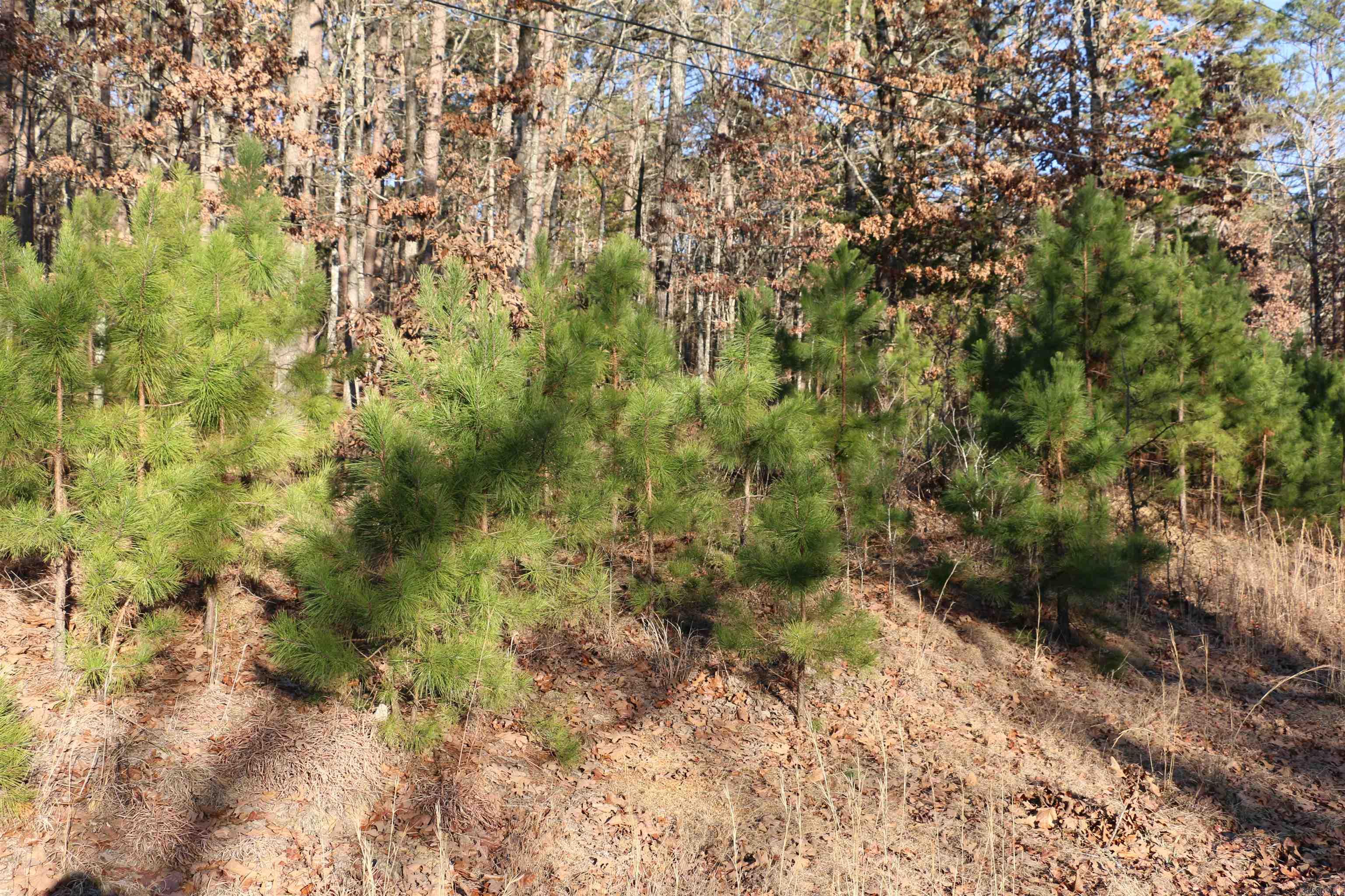 Lot 80 Lynn Creek Drive