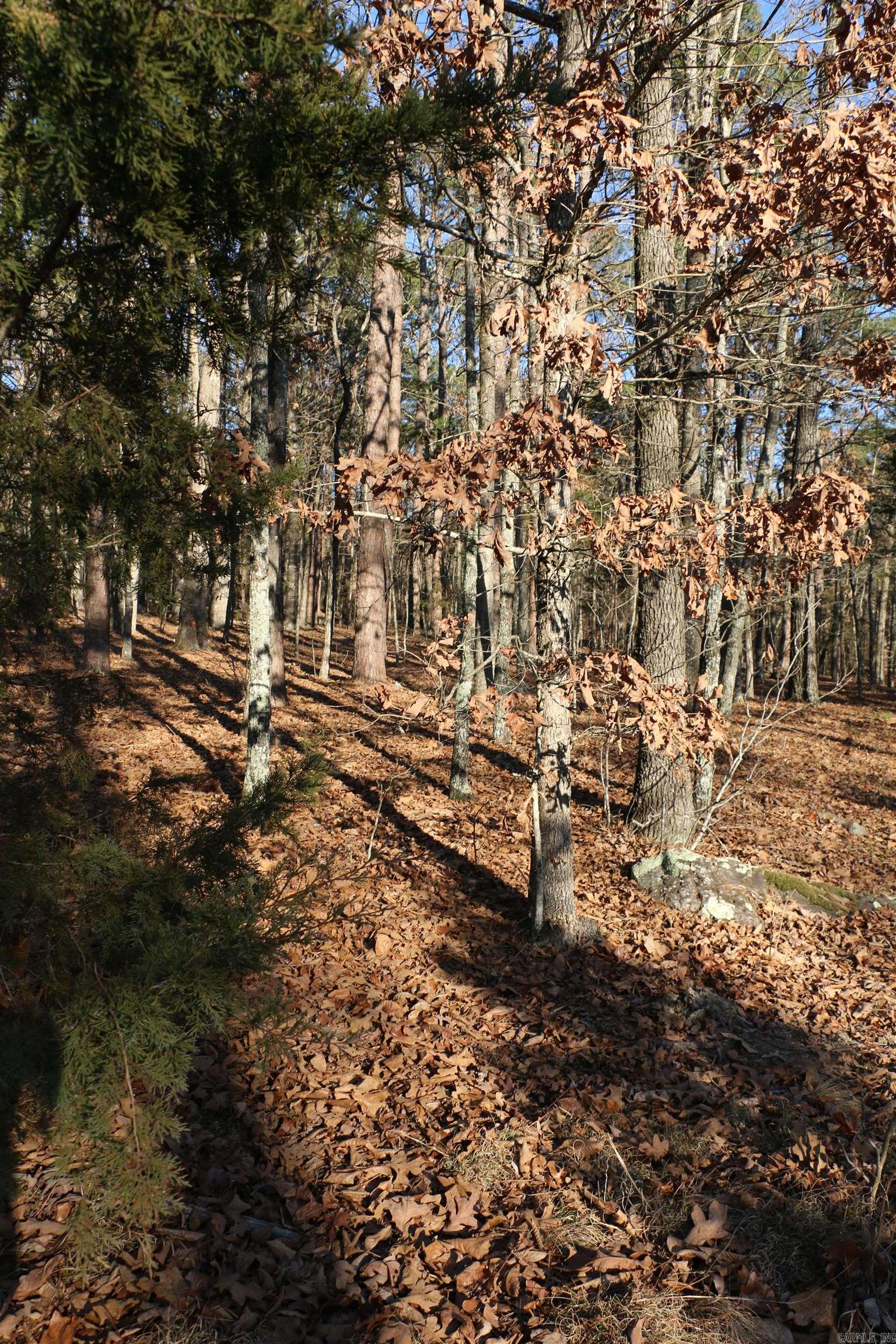 Lot 80 Lynn Creek Drive