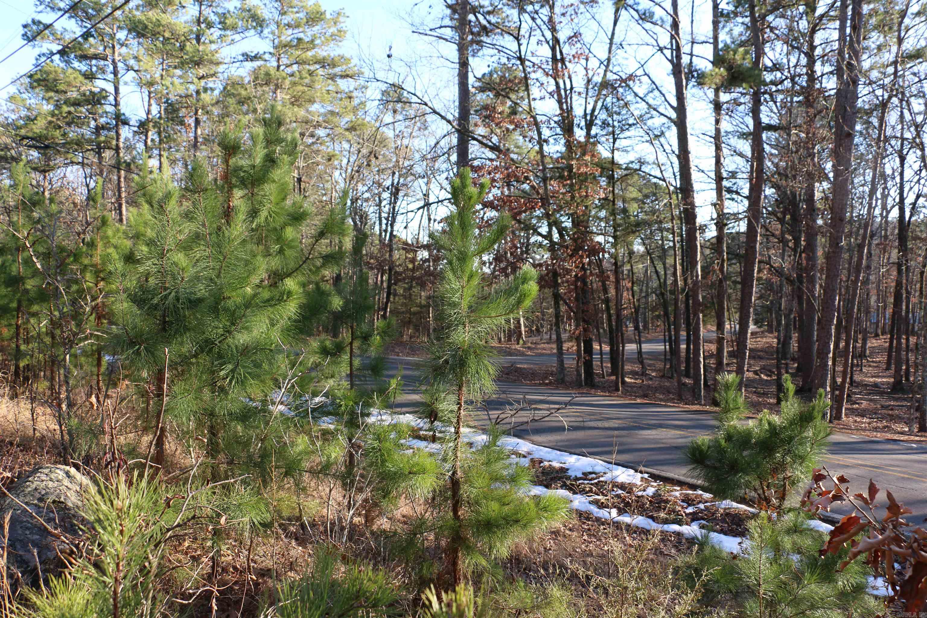 Lot 80 Lynn Creek Drive