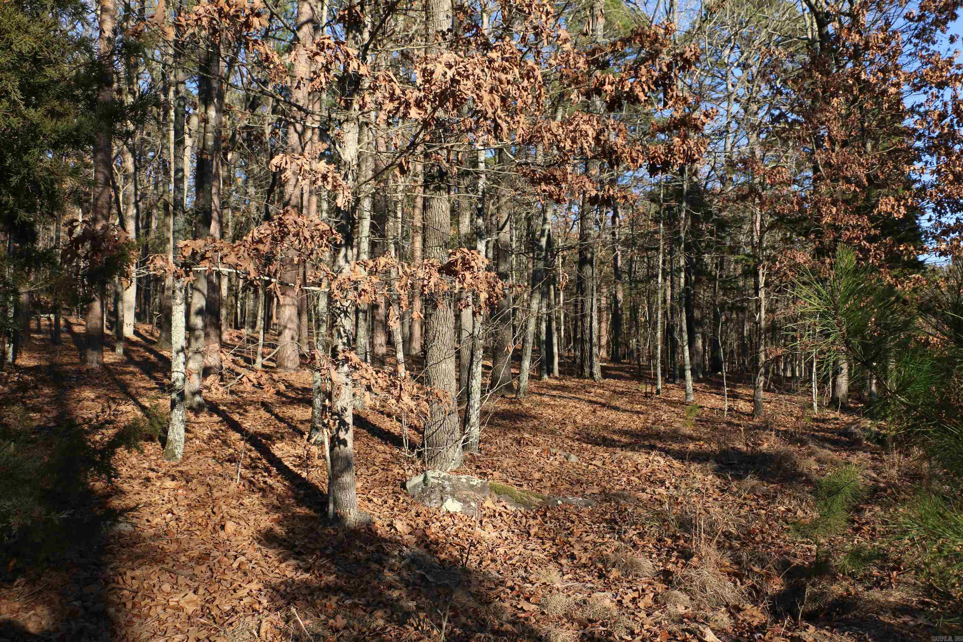 Lot 80 Lynn Creek Drive