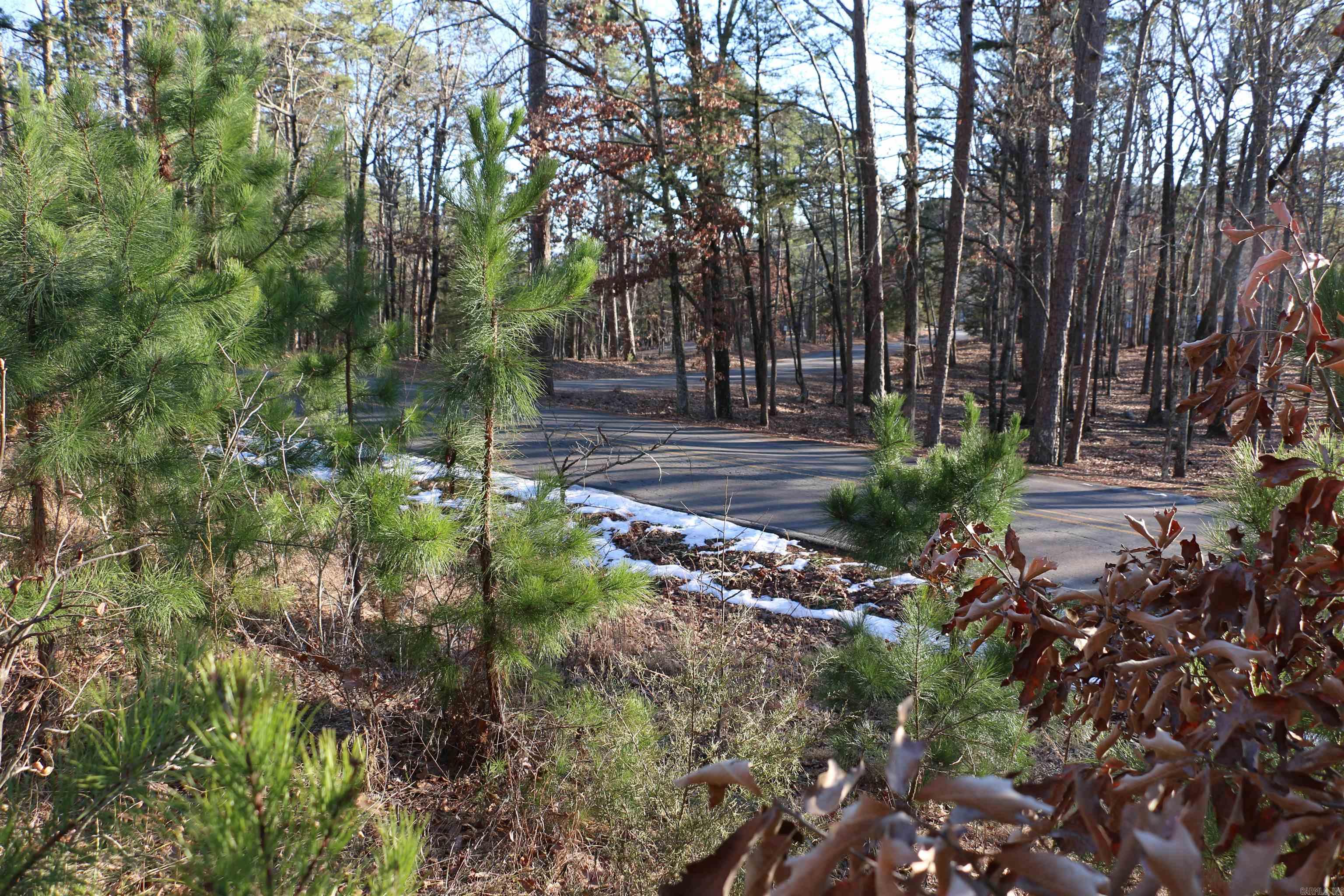 Lot 80 Lynn Creek Drive