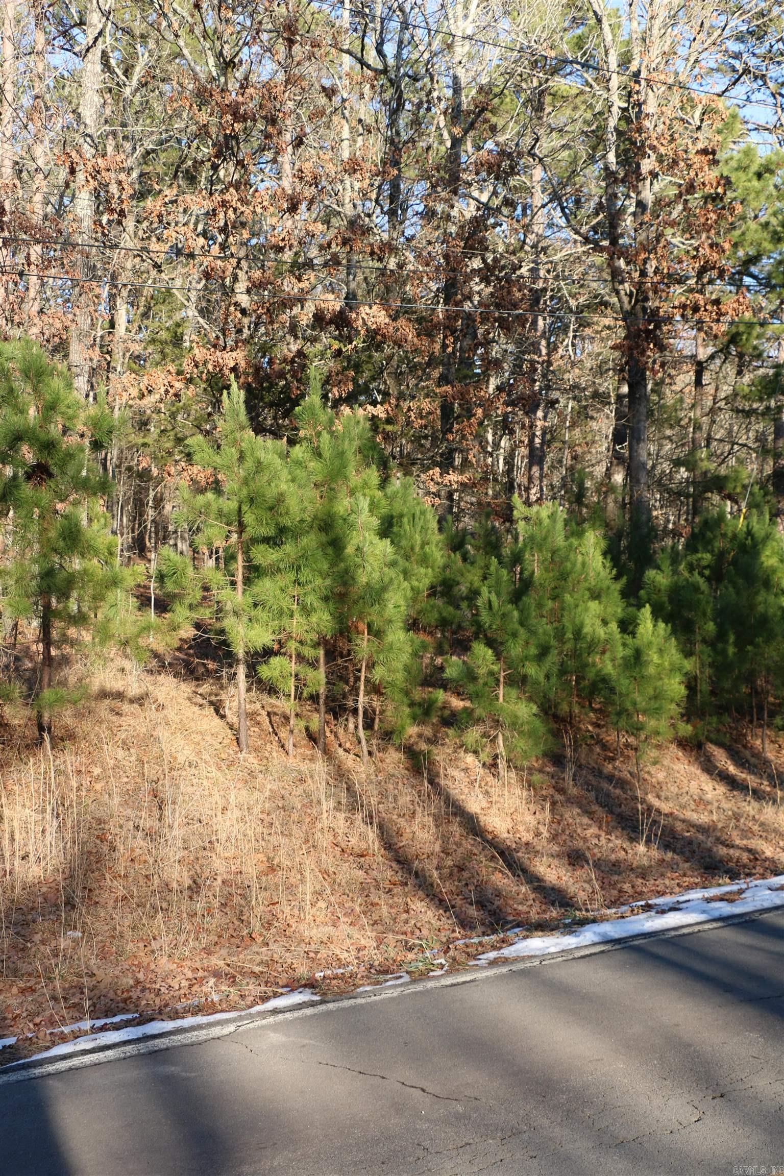 Lot 80 Lynn Creek Drive