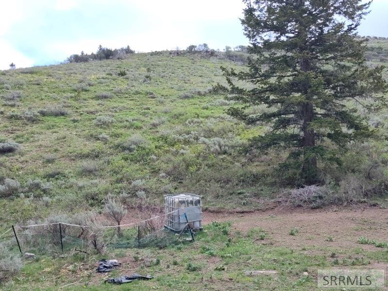 13211 Baldy Mountain Road