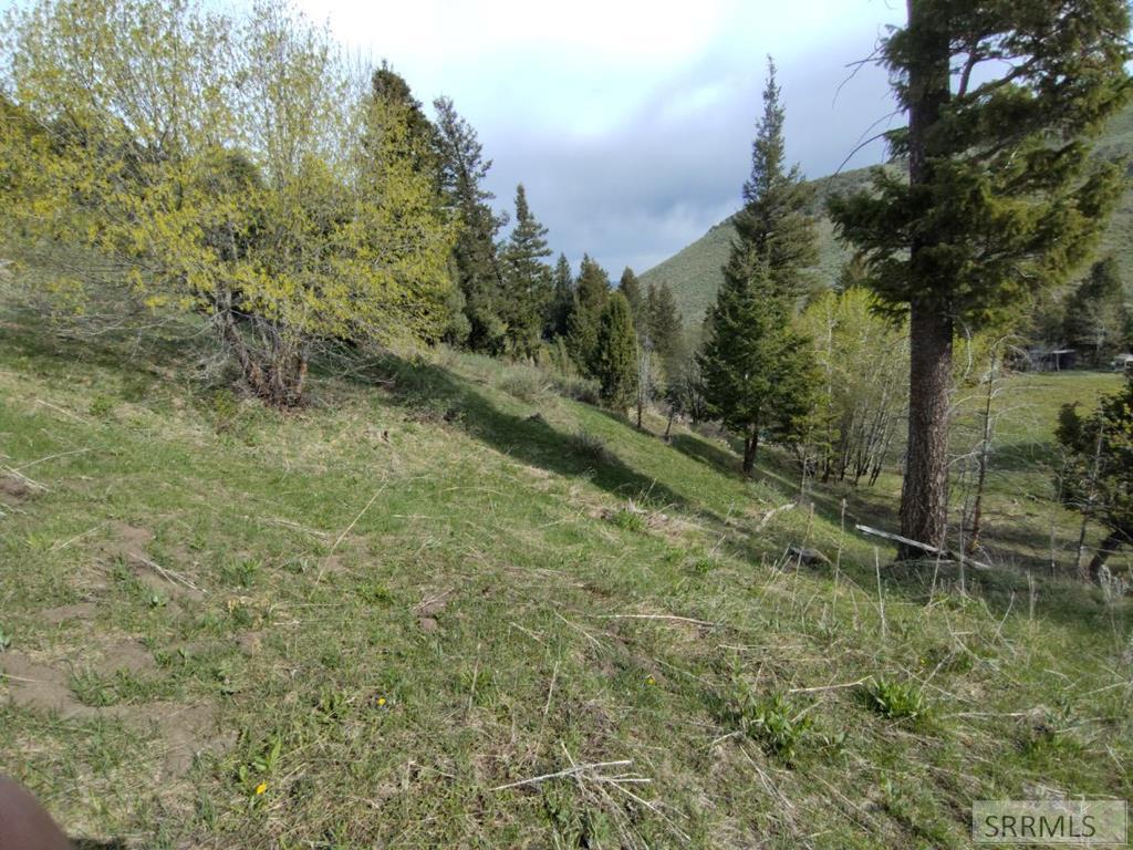 13211 Baldy Mountain Road