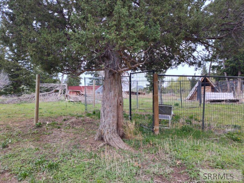 13211 Baldy Mountain Road