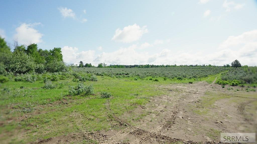 1555 Sadorus Hill Road