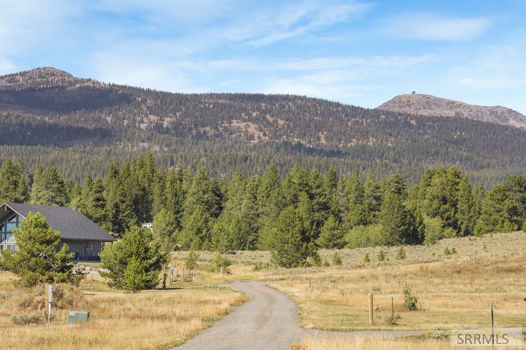 3987 Dirk Drive