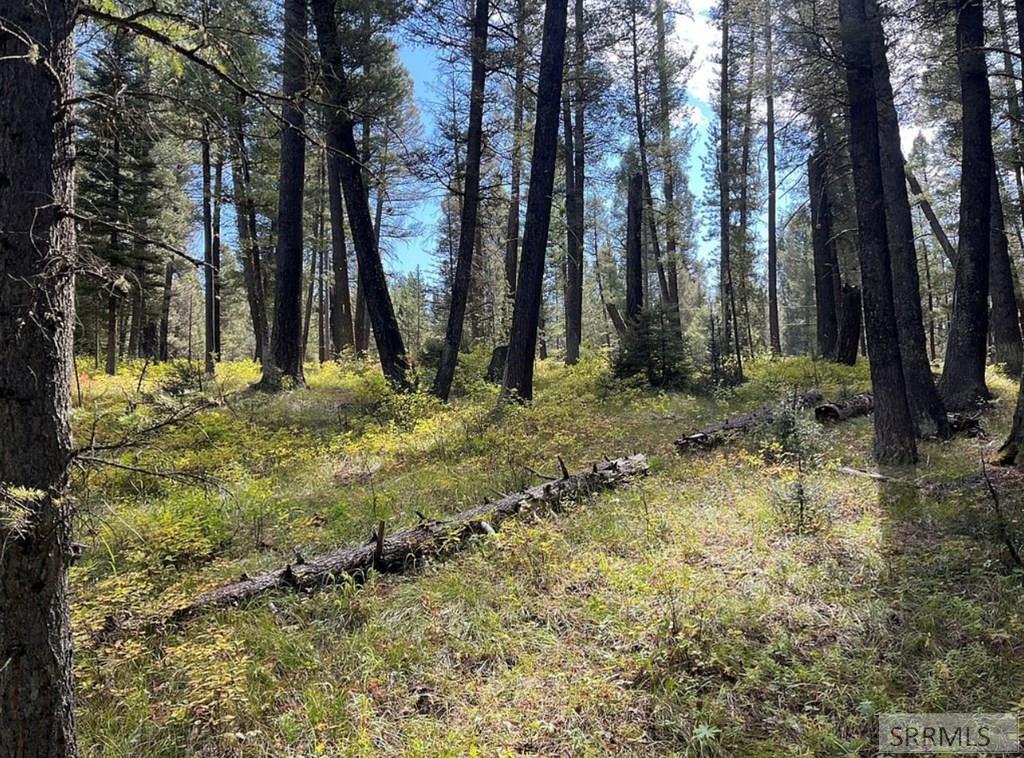 4147 Pine Crest Drive