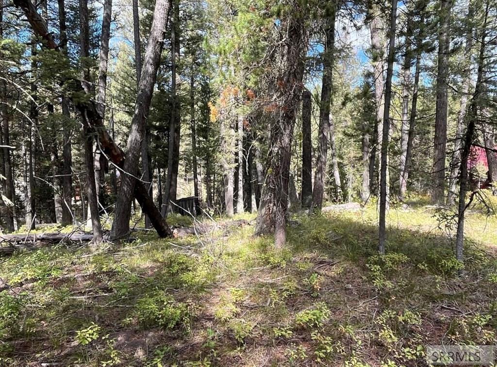 4147 Pine Crest Drive