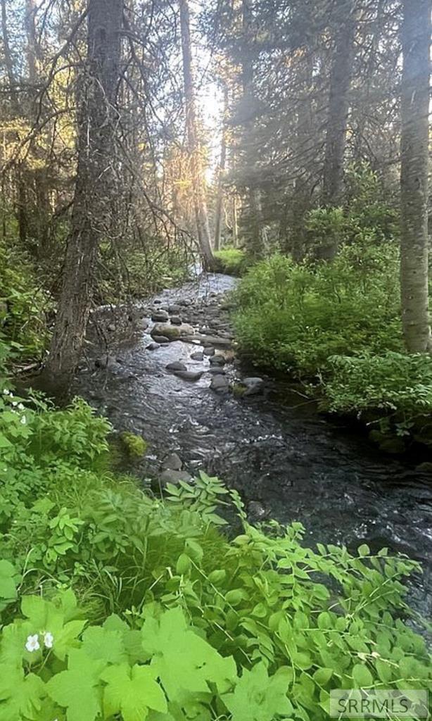 4147 Pine Crest Drive