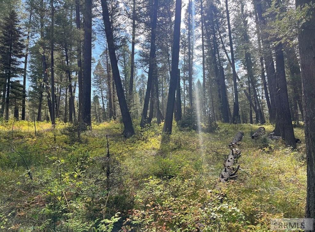 4147 Pine Crest Drive