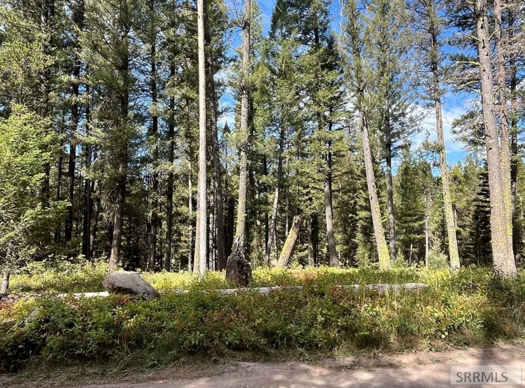 4147 Pine Crest Drive