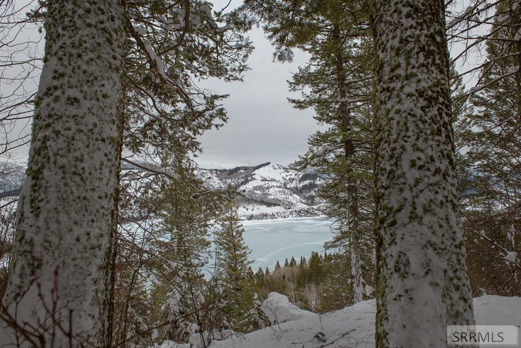 6 Upper Coyote Hollow