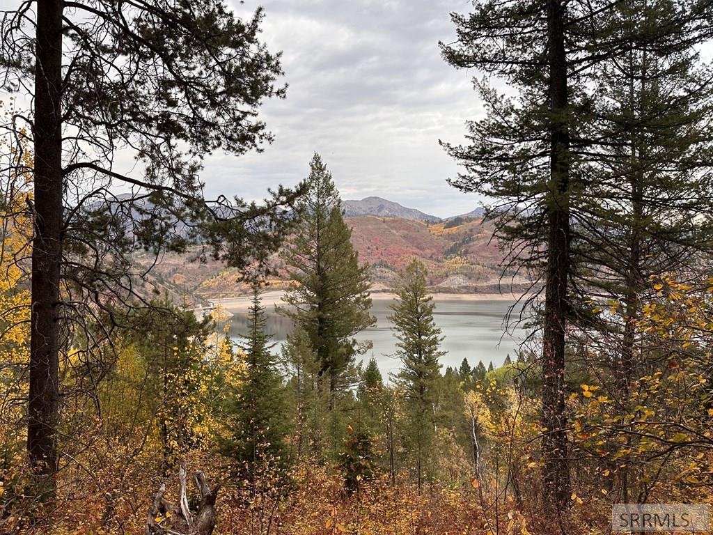 6 Upper Coyote Hollow