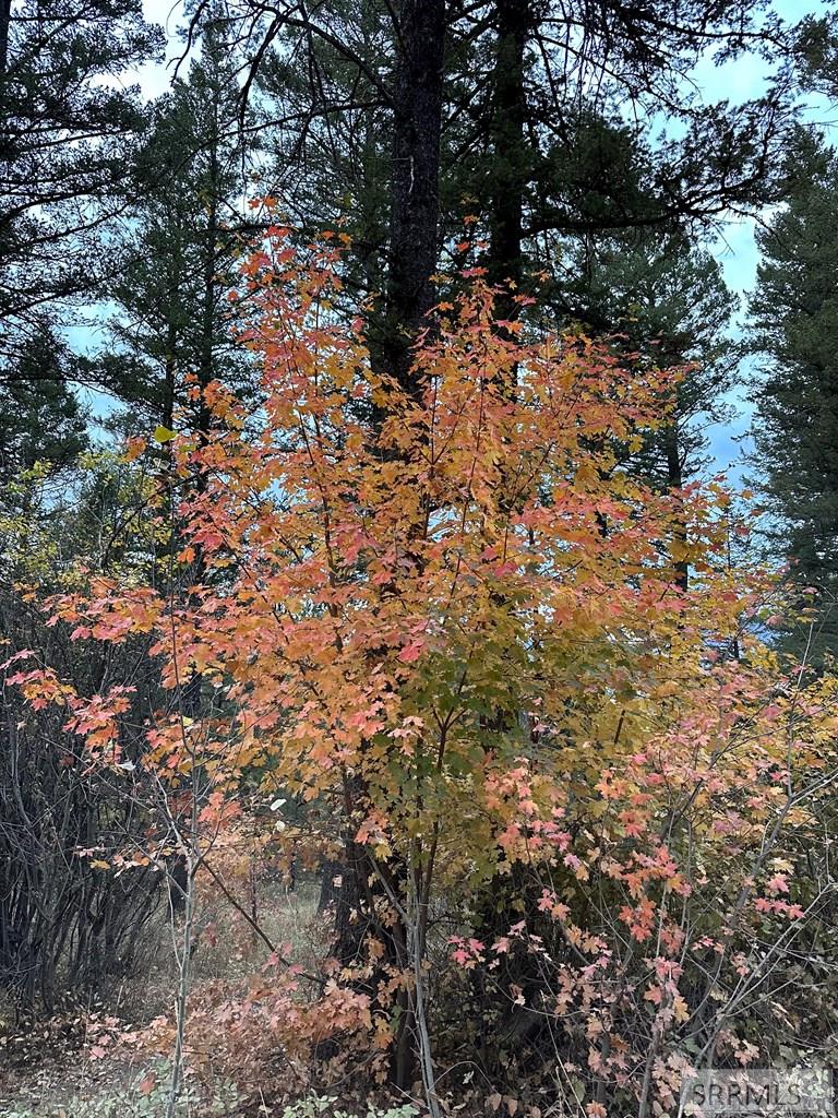 6 Upper Coyote Hollow