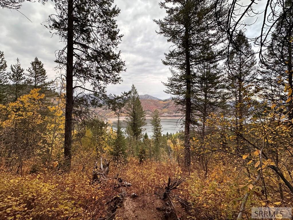 6 Upper Coyote Hollow