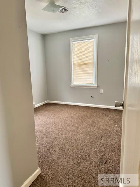 335 Cleveland Street