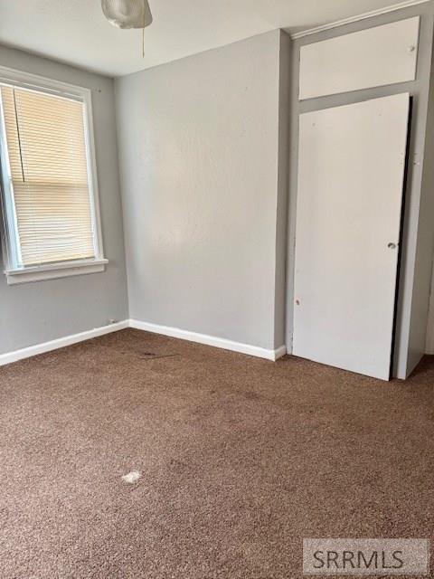 335 Cleveland Street