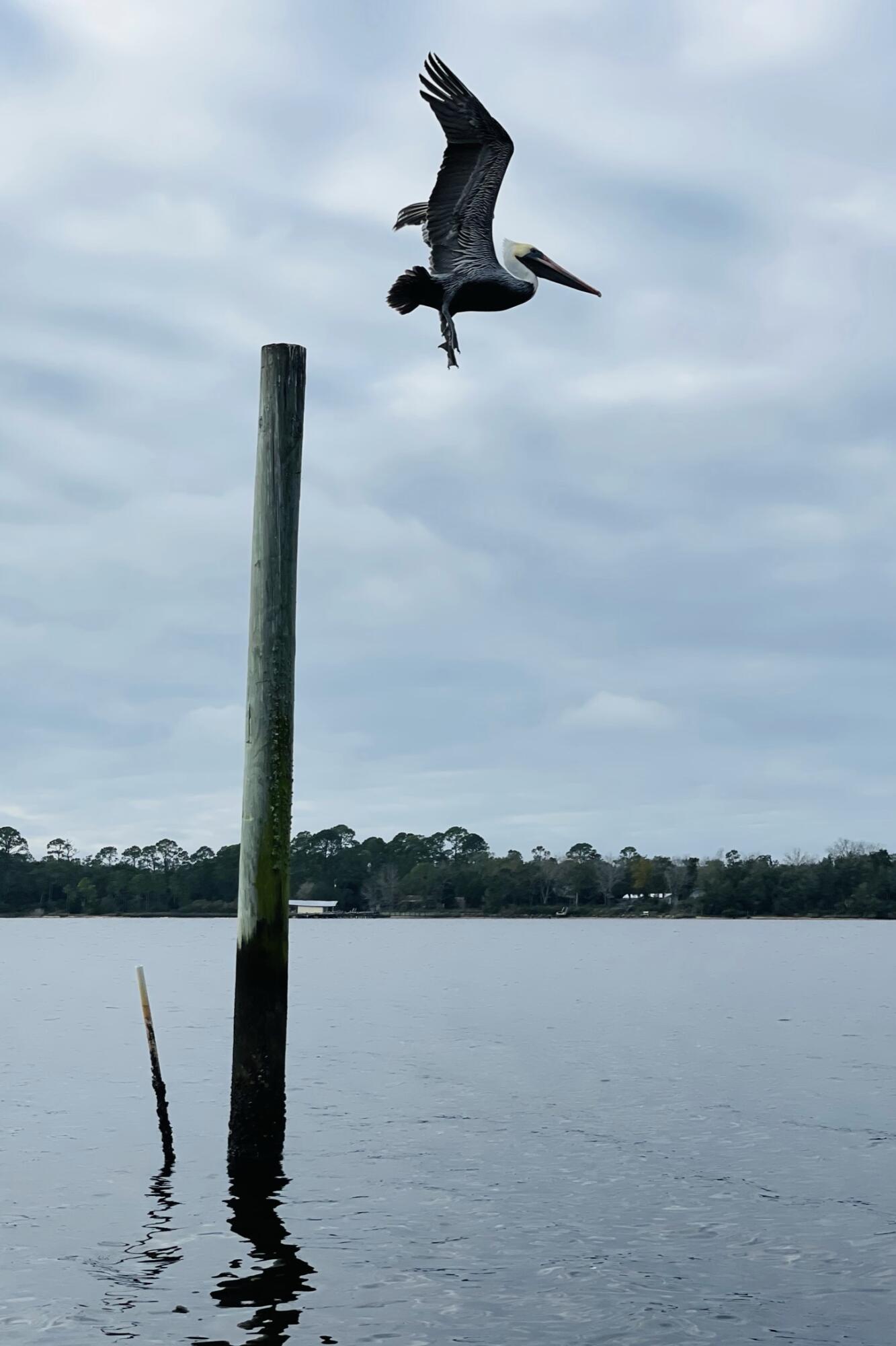 2975 Holley Point Road