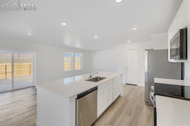 8914 Blue Feather Loop