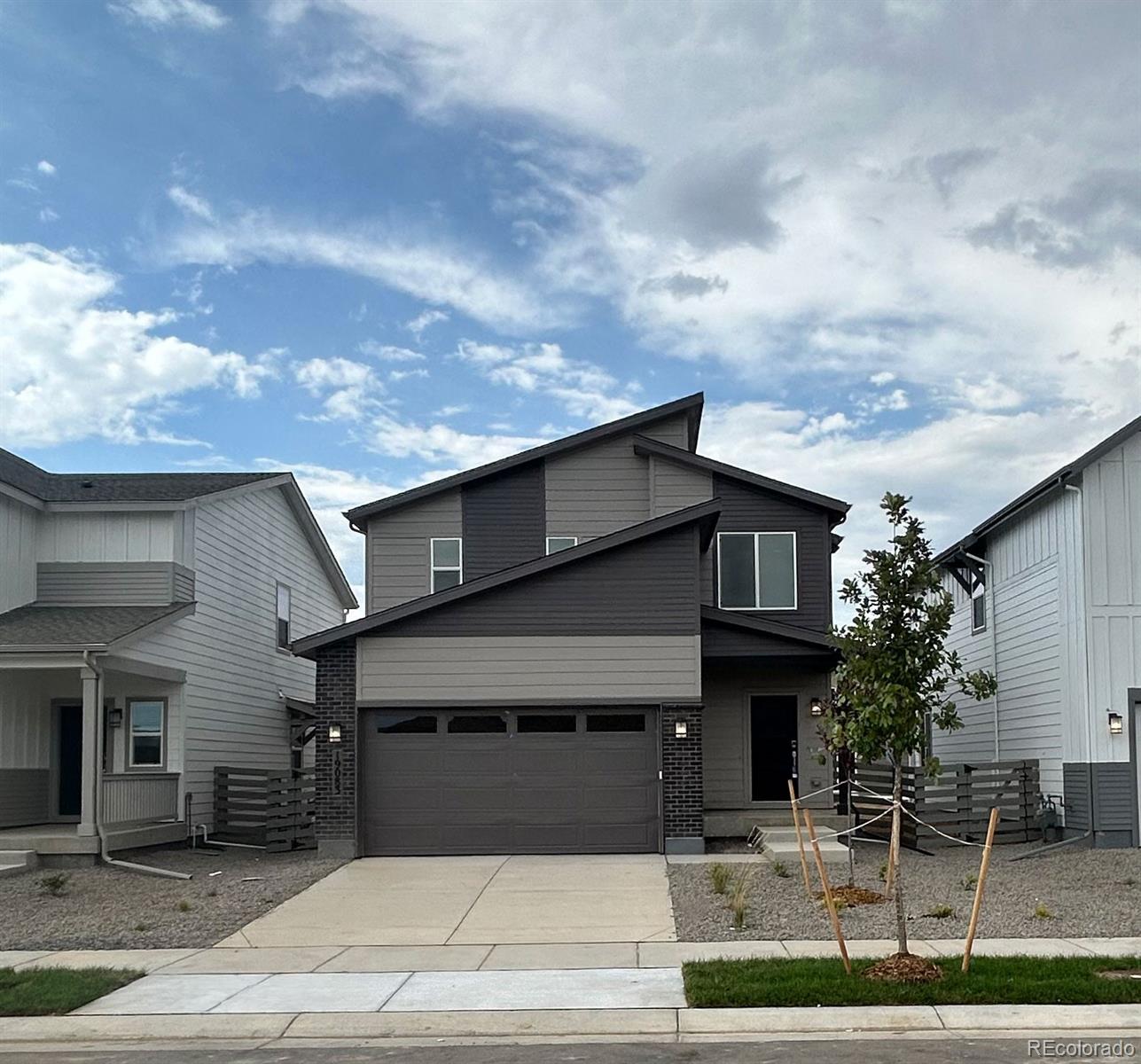 Modern gray two-story home with a double garage, concrete driveway, and young front-yard tree.