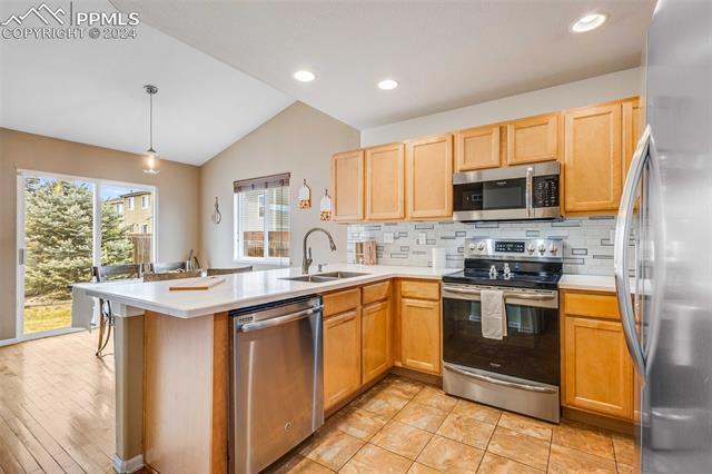 14135 White Peak Drive