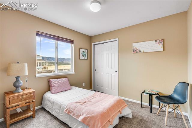 14135 White Peak Drive