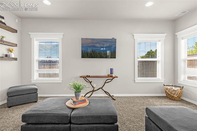 7086 Thorn Brush Way