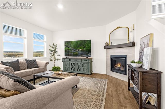 Staged living room with a lit fireplace, green TV console, and windows overlooking open land.