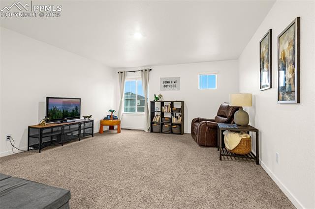 Furnished living room with beige carpet, leather recliner, television, and framed wall art.