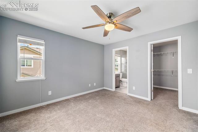 11746 Black Maple Lane